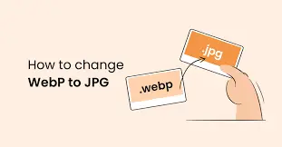 images.webp