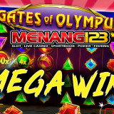 MegWIns