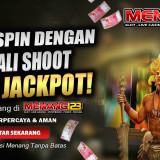 shoot