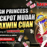 starlighcuan