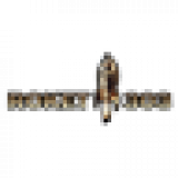 icon-roket303