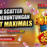 superscatters